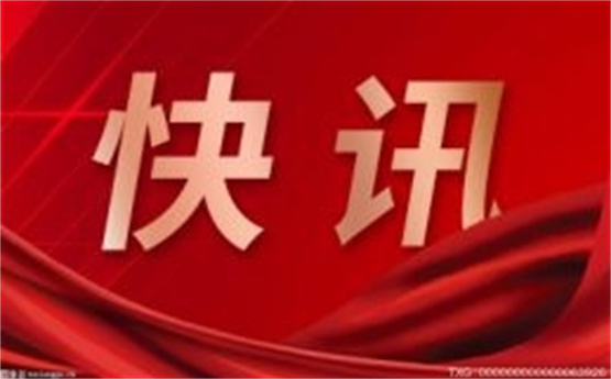 火遍全球的“新晋顶流” 广州美术学院亮相迪拜世博会